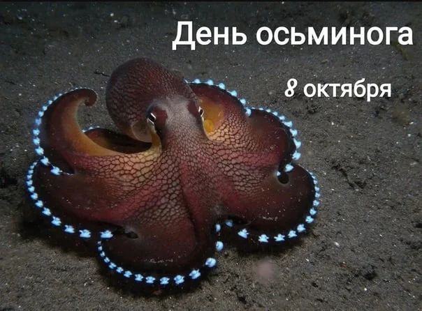 ad9TJC9W3vM (1).webp