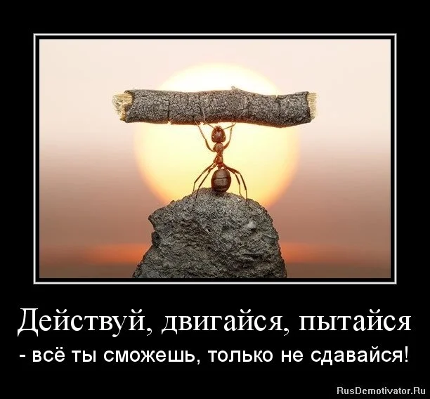 af4a3630d049.webp