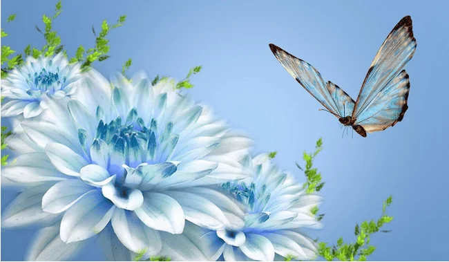 Affirmatsii-na-uspeh.webp