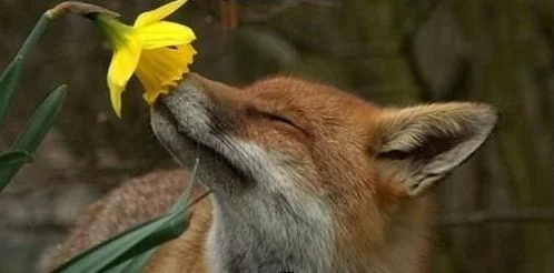 Ahhh-spring.webp