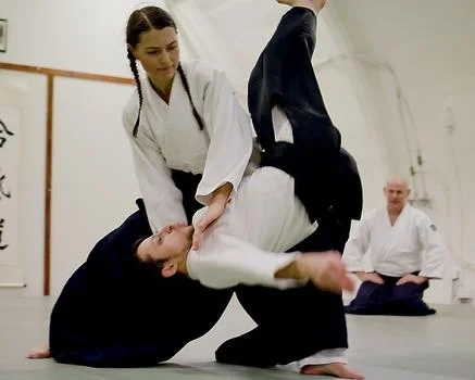 Aikido01.webp