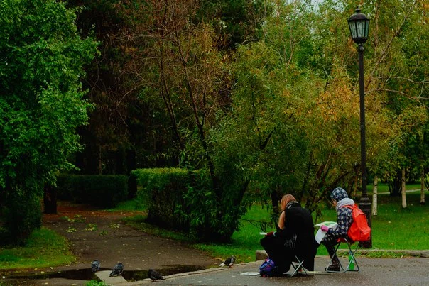 Акита тр.webp