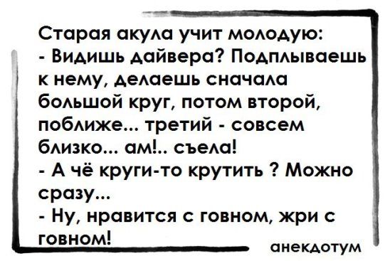 акула.jpg