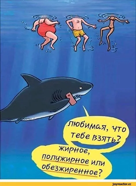 акула-карикатура-еда-4872053.webp