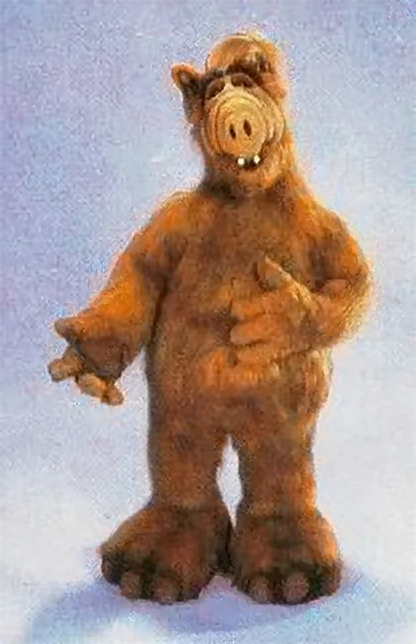 Alf--ALF.webp