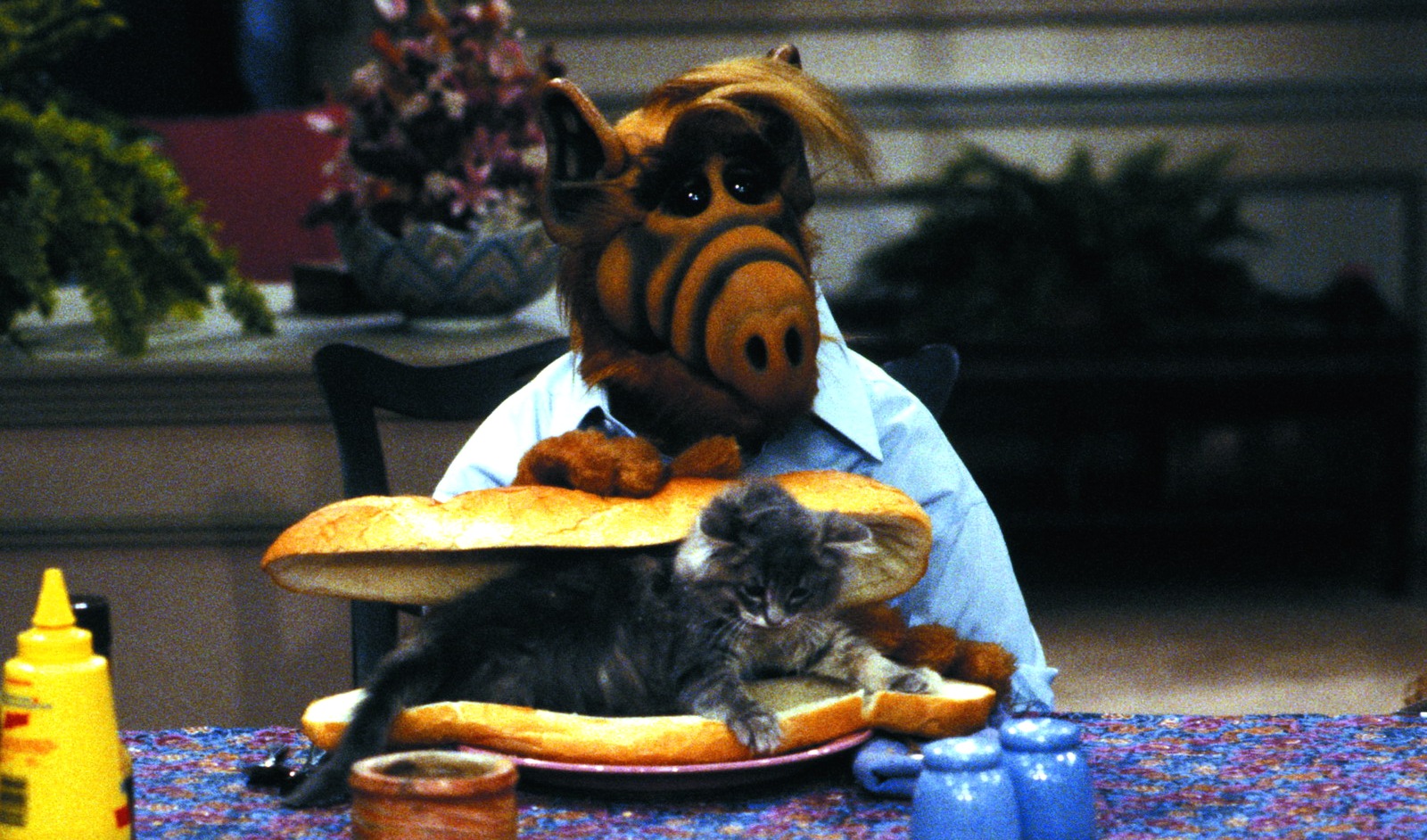 ALF-trying-to-eat-a-cat.jpg