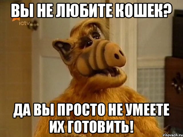 alf_66130710_orig_.jpeg