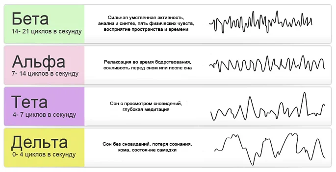 alfa-beta-gamma-volny-golovnogo-mozga-38946-large.webp