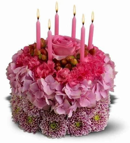 alfaris_net_1312026035.webp