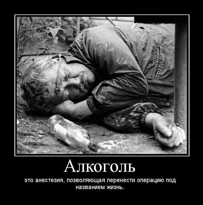 Алкоголь-это-анестезия.webp
