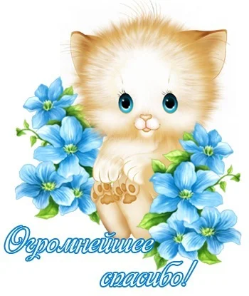 алле.webp