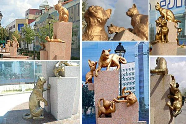 alleja-koshek (1).webp