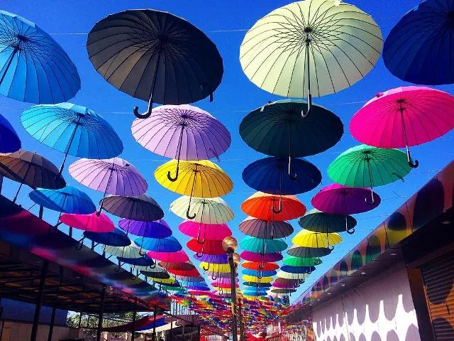 Аллея парящих зонтиков.Адлер..webp