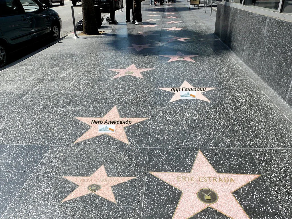 аллея с сигой.webp