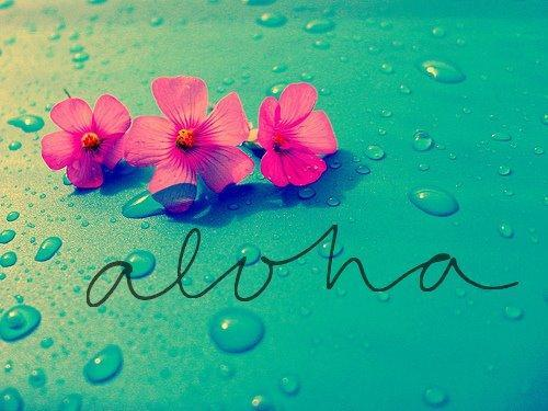 aloha-beach-flowers-summer-Favim.com-1671241.png