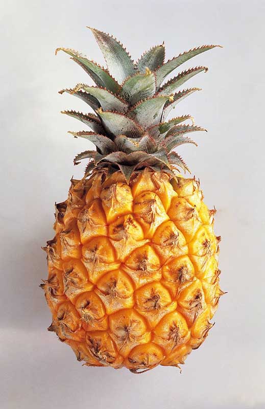 ananas.jpg