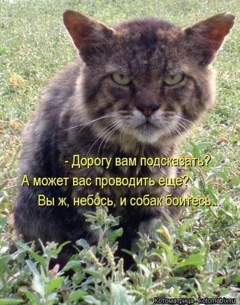 AnBBZM56Cz0.webp