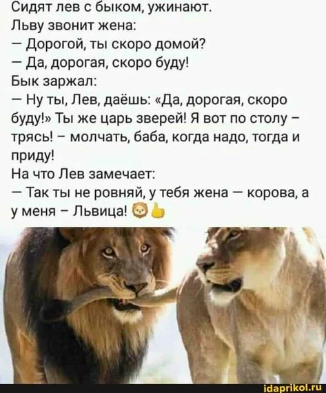 анек-жена.webp