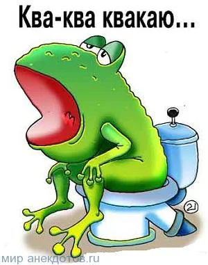 анекдот-про-лягушку.webp