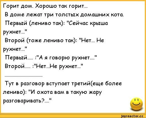 анекдоты-ржачные-анекдоты-188774.webp
