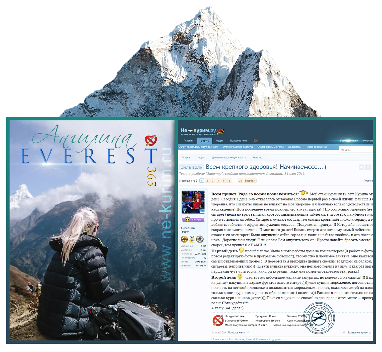 ангилина эверест.webp