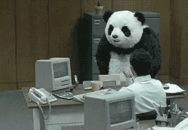 angry-panda.gif