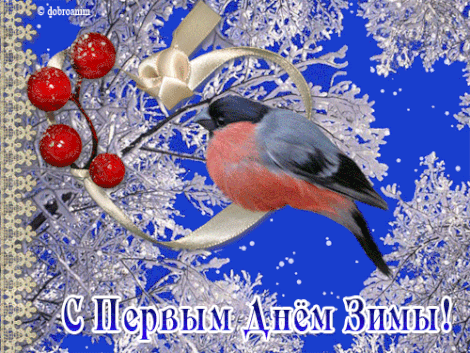 анимация-открытка-зима-первый-день.gif