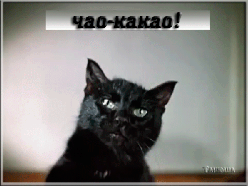 анимированная_открытка_чао_какао_иван.gif
