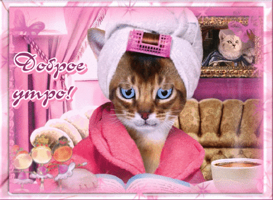анимированная_открытка_доброе_утро.gif