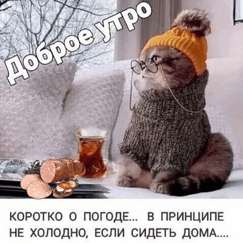 анимированная_открытка_доброе_утро_коротко.gif