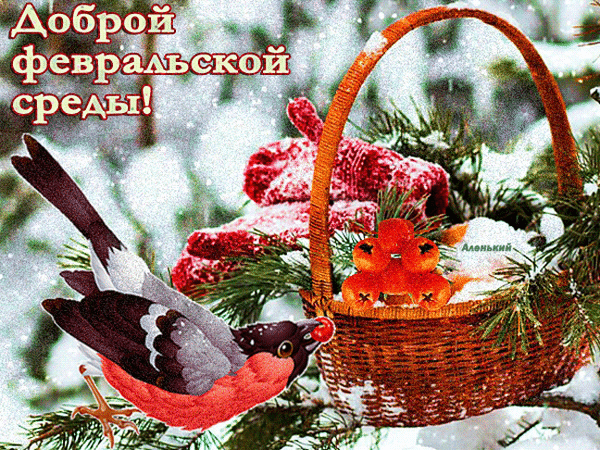 анимированная_открытка_доброй_февральской.gif