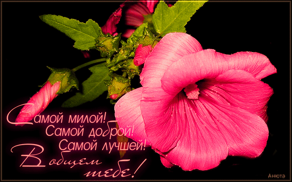 animirovannaya-otkrytka-dlya-tebya-355.gif