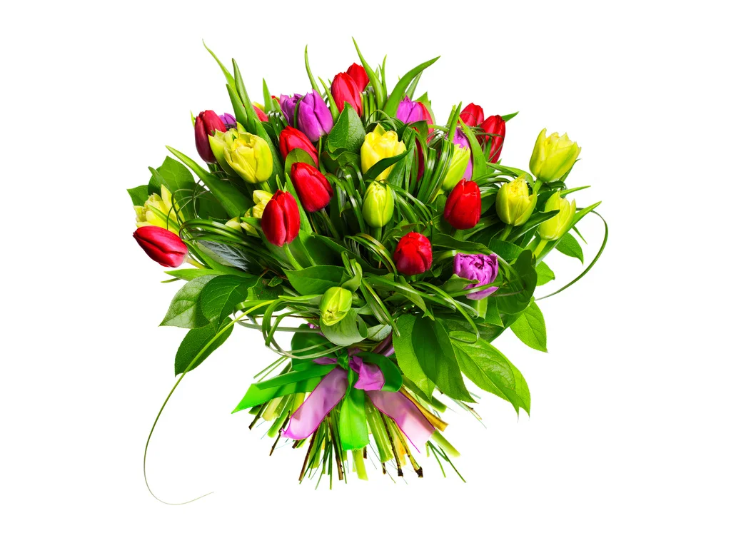 anywalls_com-63420.webp