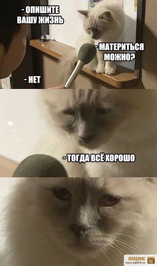 апарпр.jpg