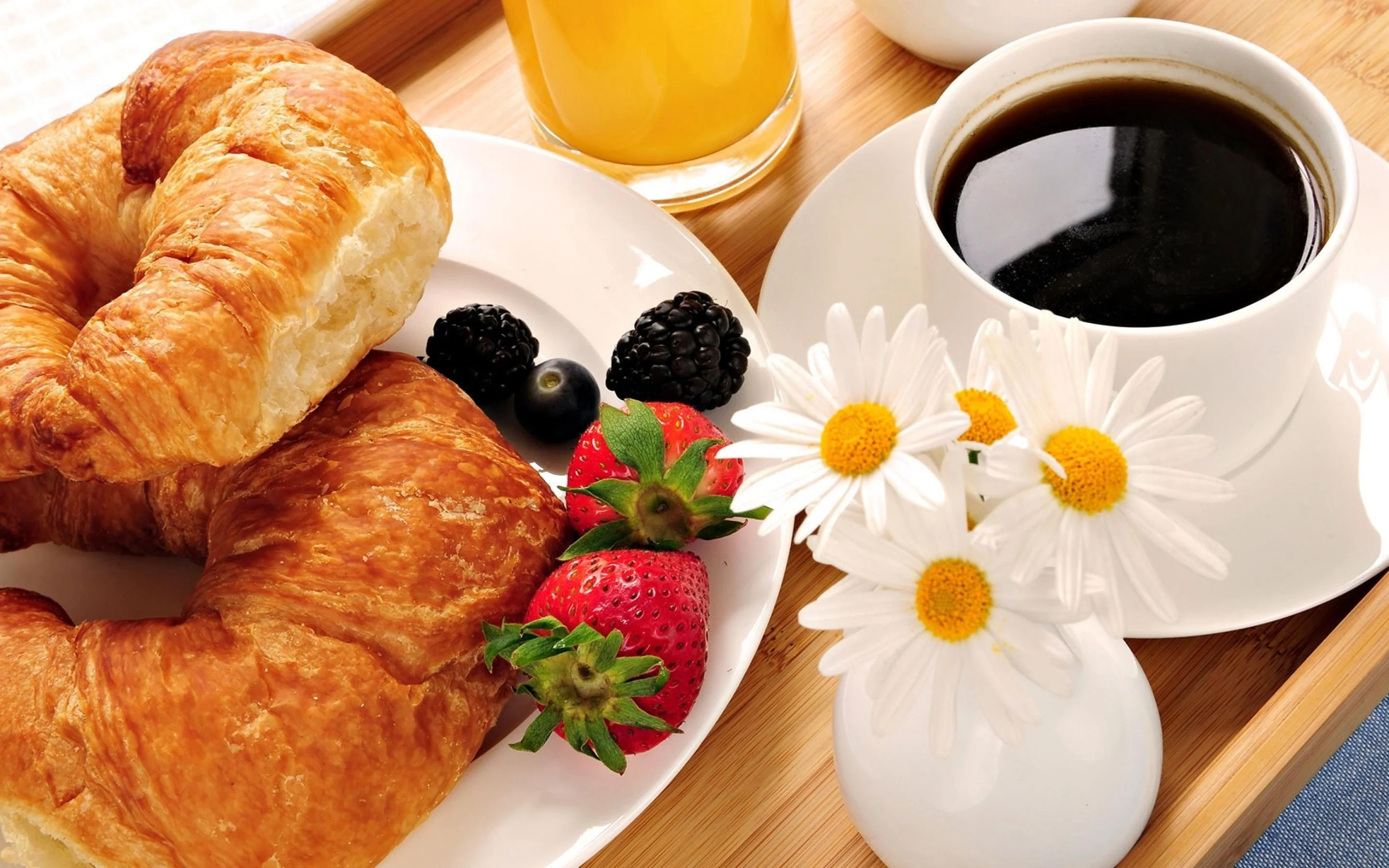 appealing-summer-breakfast-wallpapers-background.webp