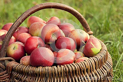 apples-basket-26495592.webp