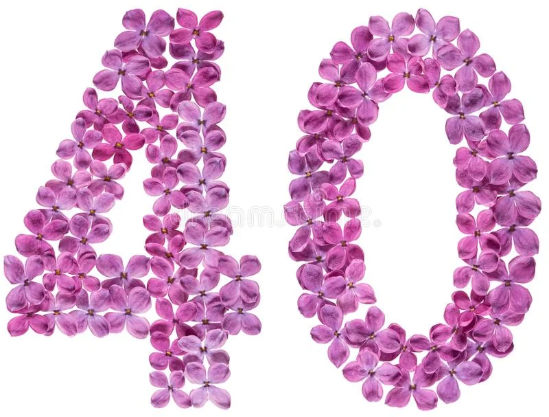 arabic-numeral-forty-flowers-lilac-isolated-white-background-arabic-numeral-forty-flowers-lil...webp