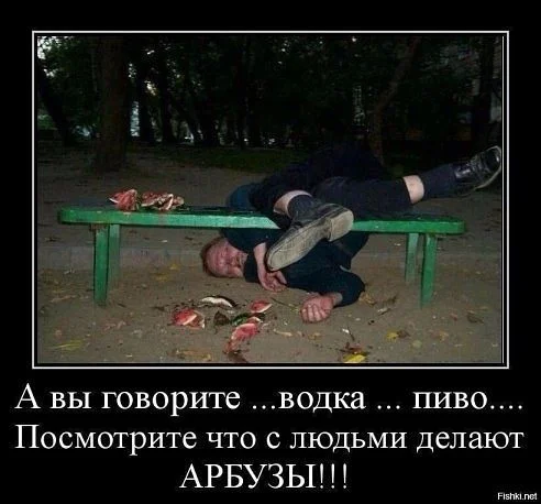 арбузы жестоки.webp