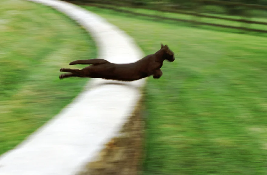 artlimited_img282413 (1).webp