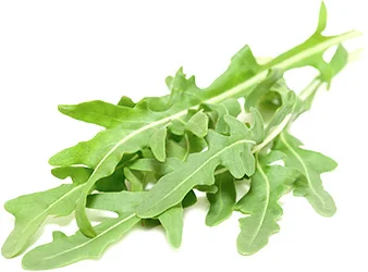 arugula.webp