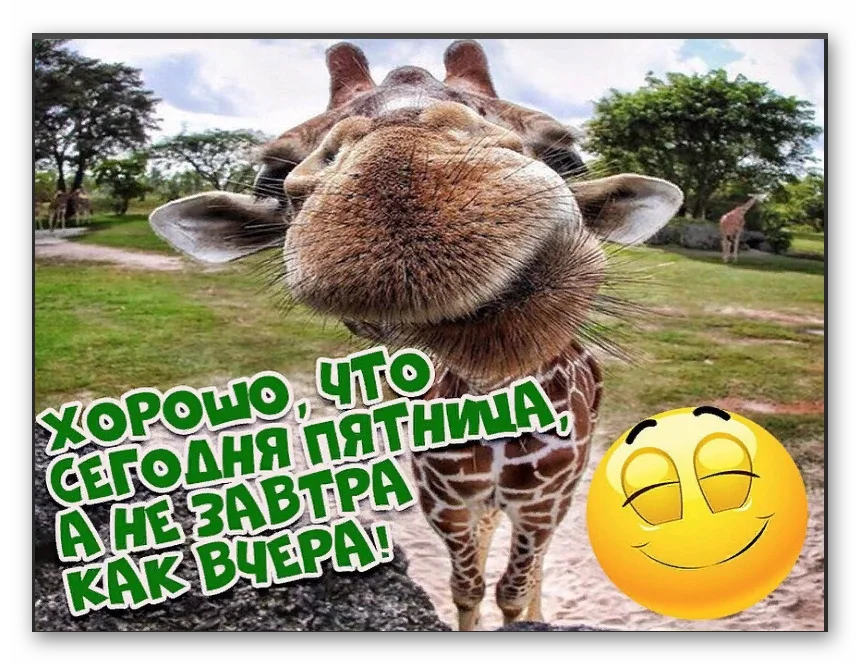 Ashampoo_Snap_2021.07.23_08h58m43s_001_Chrome Legacy Window.webp