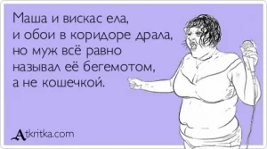 atkritka_1334592344_461_m.webp