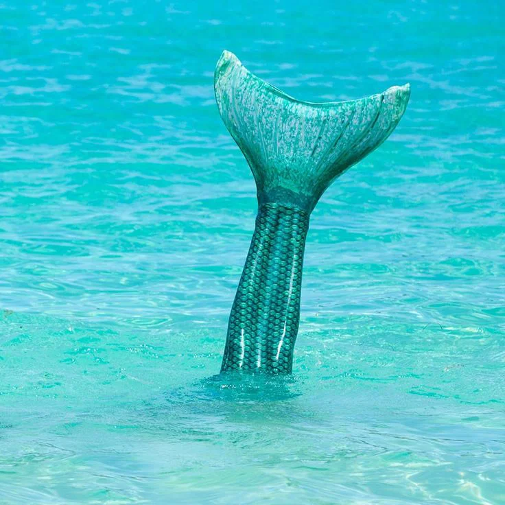 aussie-green-mermaid-tail_2.webp