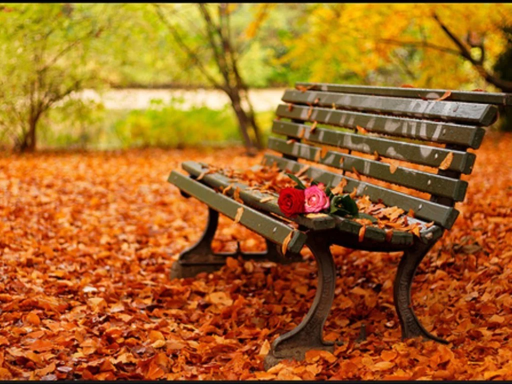 autumn-picture.webp