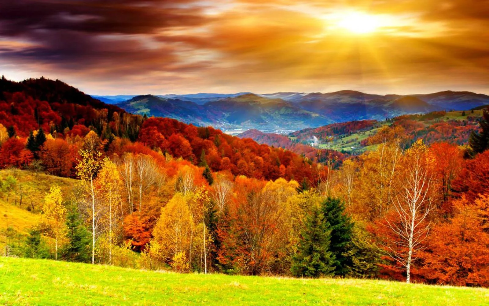 autumn-scenery.webp