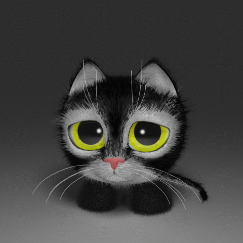 ava-animation-cats-29.gif