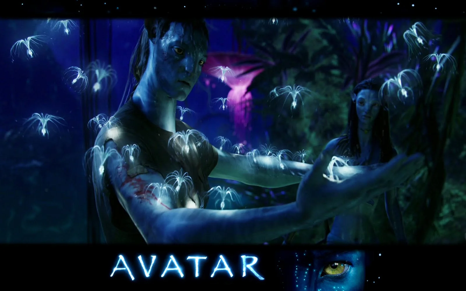 Avatar by James Cameron Wallpapers (6).webp