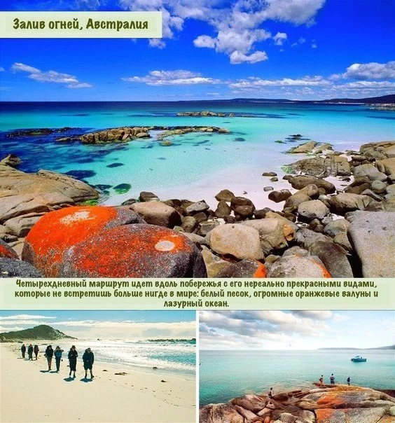 Австралия.webp