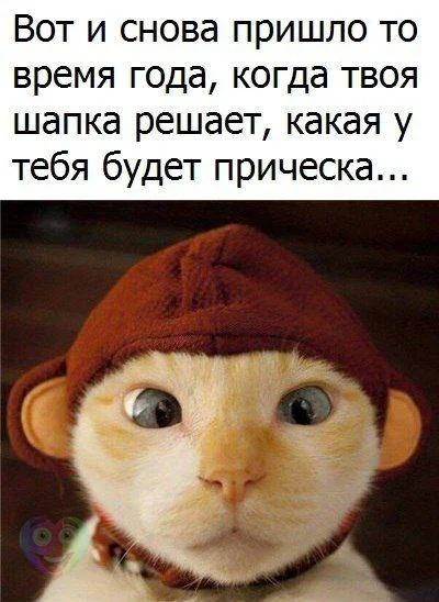 ax9Wy8EGJKk.webp