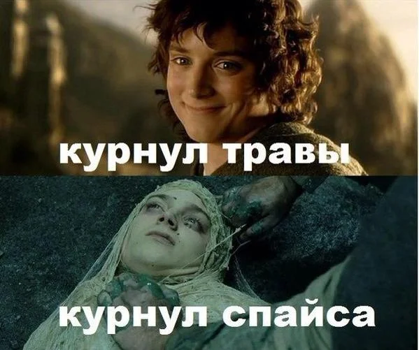 B-wGF4_UMAAxTNY.webp